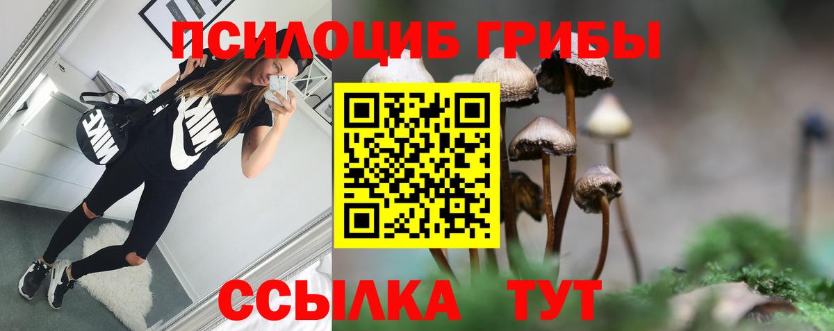 Псилоцибиновые грибы Cubensis  продажа наркотиков  Арзамас  Вход с VPN 